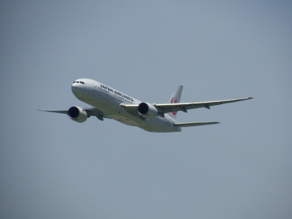 ×50(1200mm)