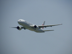 ×50(1200mm)