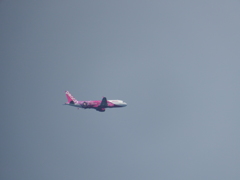 ×50(1200mm)