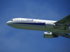 ×50(1200mm)