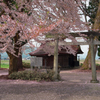 神社