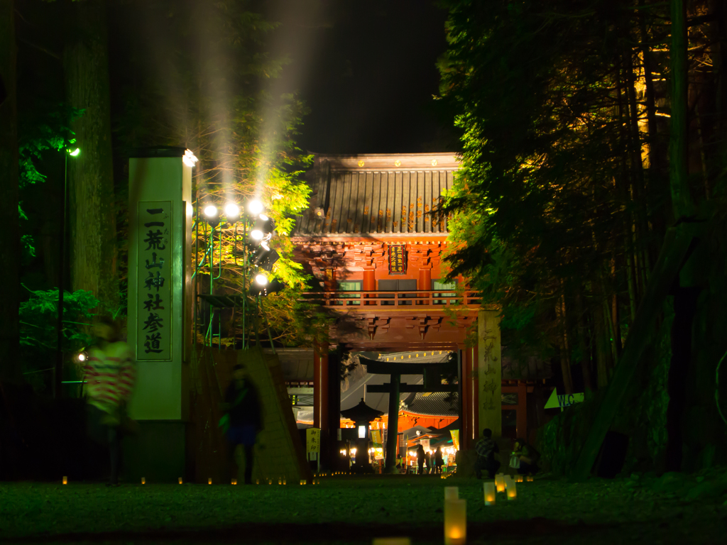 夜の東照宮