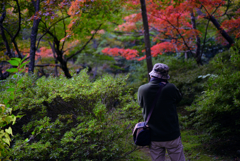 紅葉cameraman