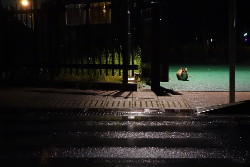遭遇