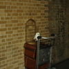 Platform 9 3/4