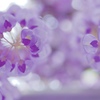 amethyst.