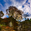 Old castle of autumn.