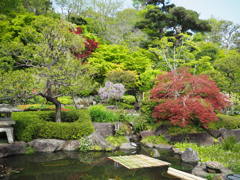 長谷寺