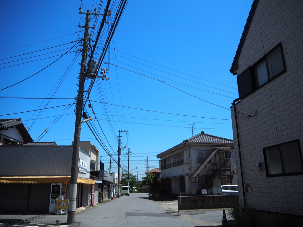 オリンパスブルーに魅せられて