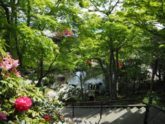 長谷寺