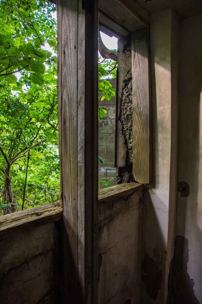 20140831-DSC_0285