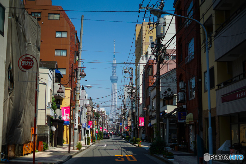 ツリーの見える道