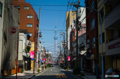 ツリーの見える道