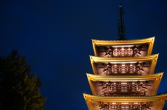 夜空に輝く五重塔