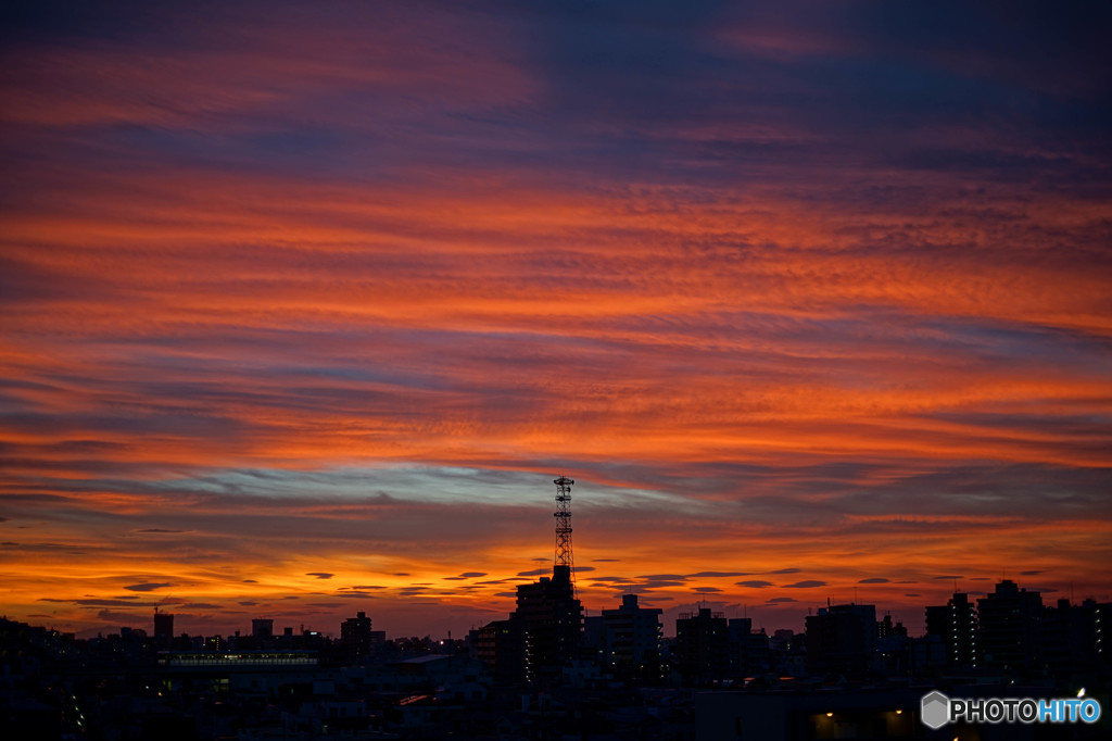 おれんじ空