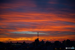 おれんじ空