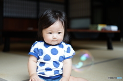 しゃぼんだま、とんできた