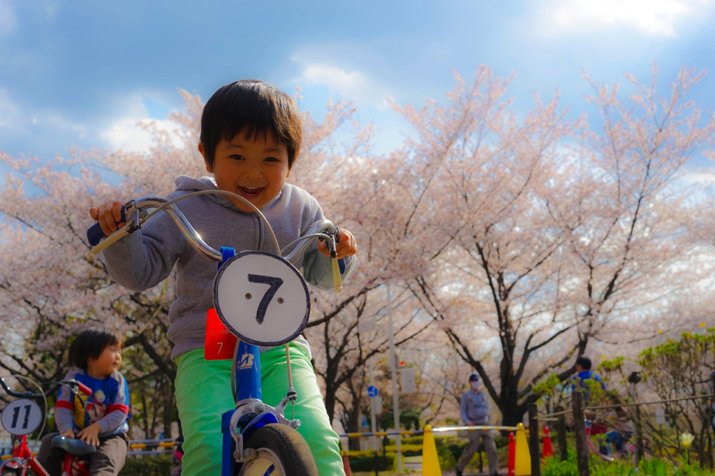 さくらと自転車