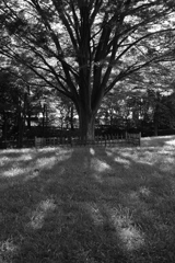 桜が丘公園にて_02