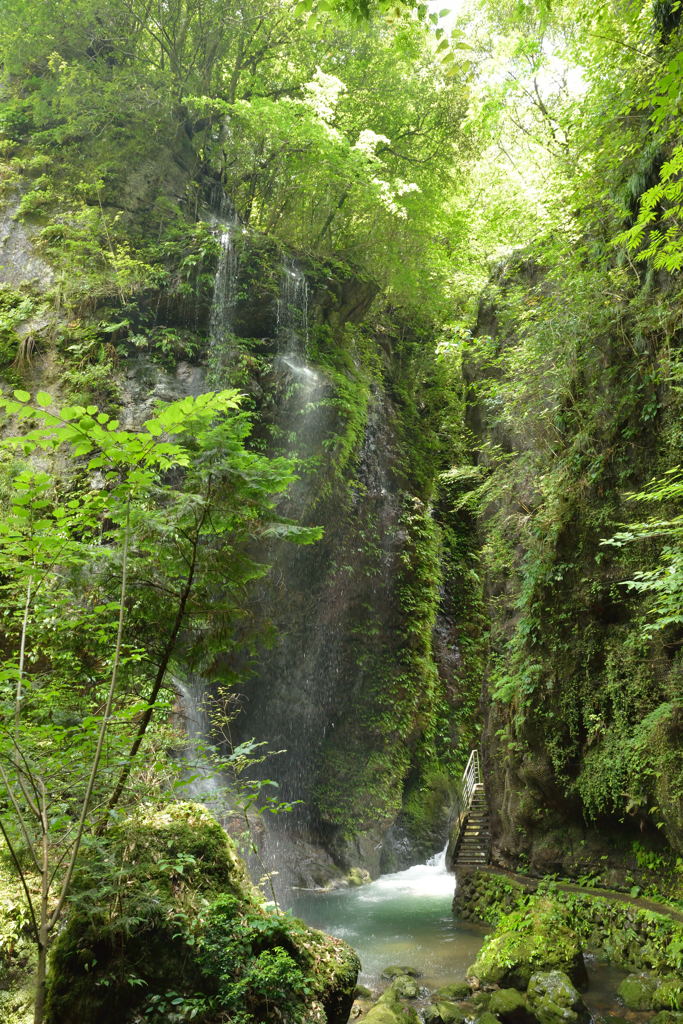 桂川渓谷４