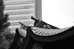 やっぱ建物はこっちがいい！
