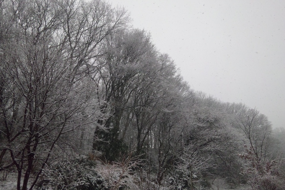 1月30日の出勤中。今日は朝から雪です。その３