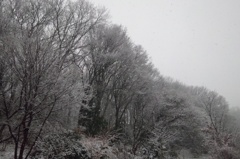 1月30日の出勤中。今日は朝から雪です。その３