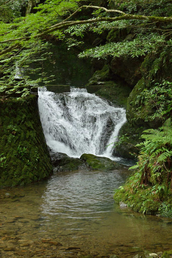 桂川渓谷１１