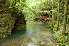 桂川渓谷７