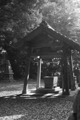 京王百草園その４
