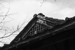 見晴らしの一番いいところ。その１