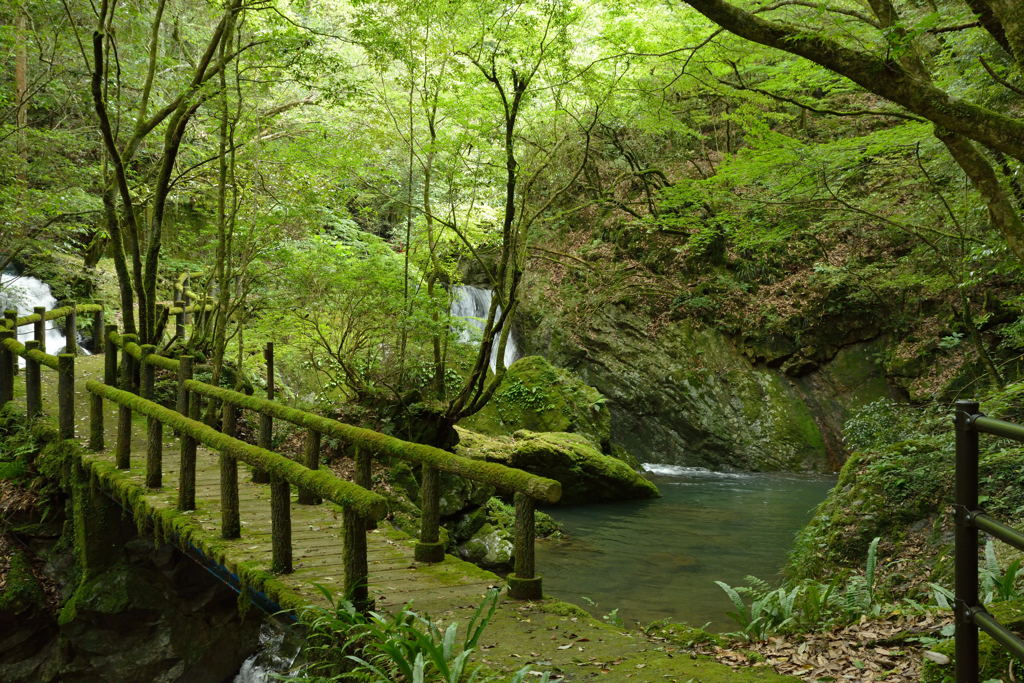 桂川渓谷１