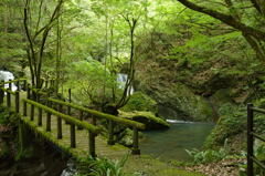 桂川渓谷１