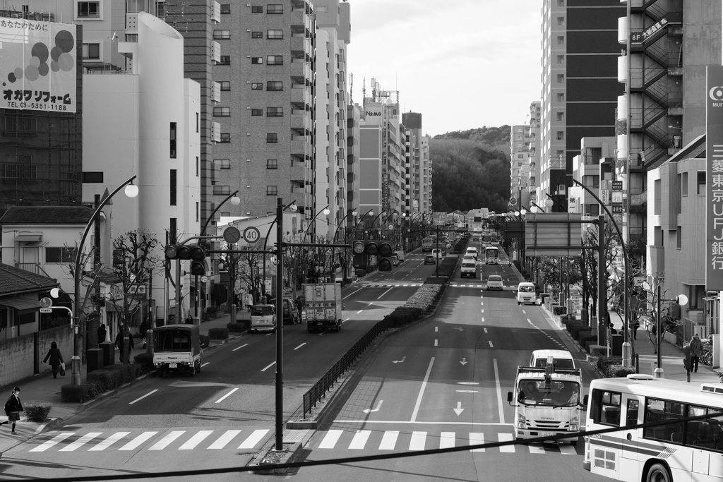 川崎街道（聖蹟桜ヶ丘通り）