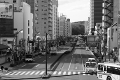 川崎街道（聖蹟桜ヶ丘通り）