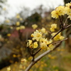 百草園にて。。。。。