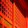 多摩市・小野神社より。その７