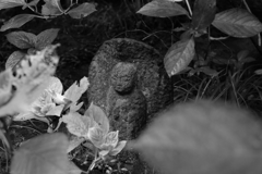 高幡不動尊にて＿４