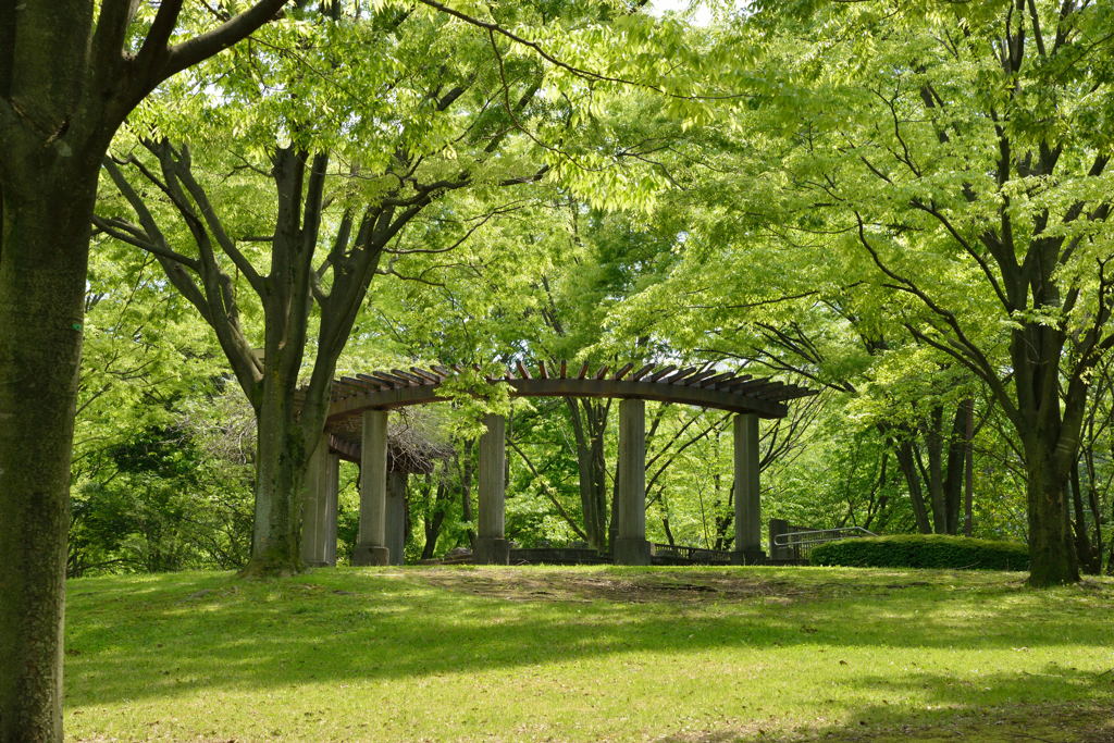 桜が丘公園にて２