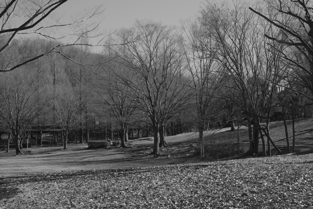 Otani-do Park 3