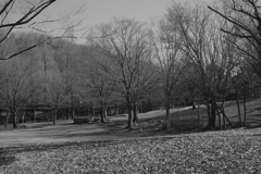 Otani-do Park 3