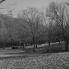 Otani-do Park 3