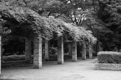 X-Pro2お試し撮り。
