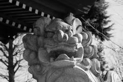 多摩市・小野神社より。その１０