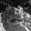 多摩市・小野神社より。その１０