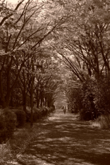 大谷戸公園０２