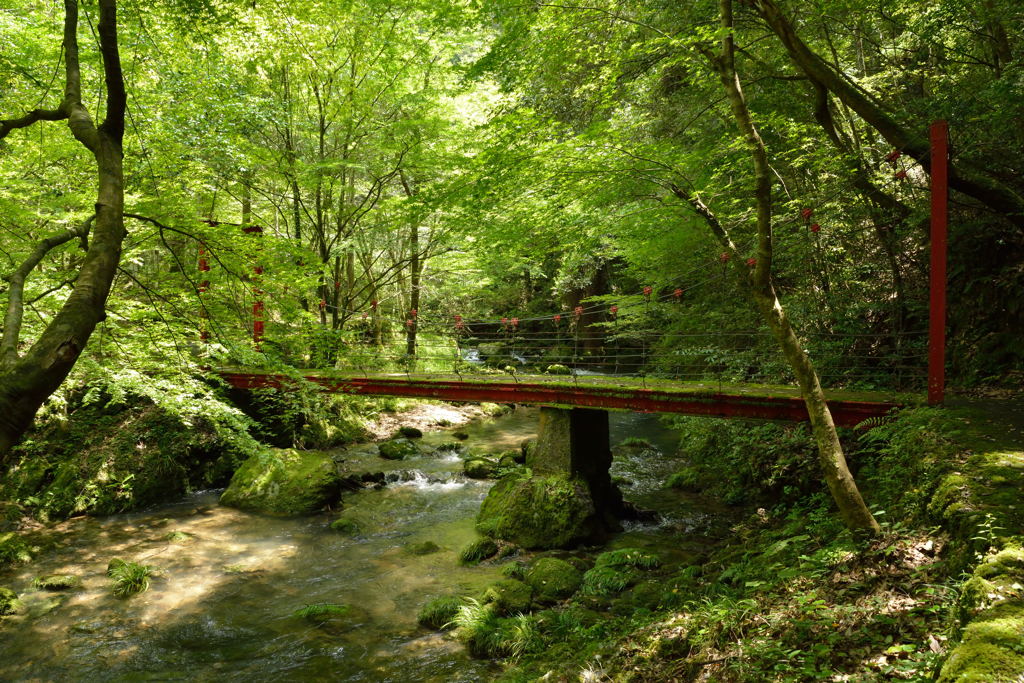 桂川渓谷８