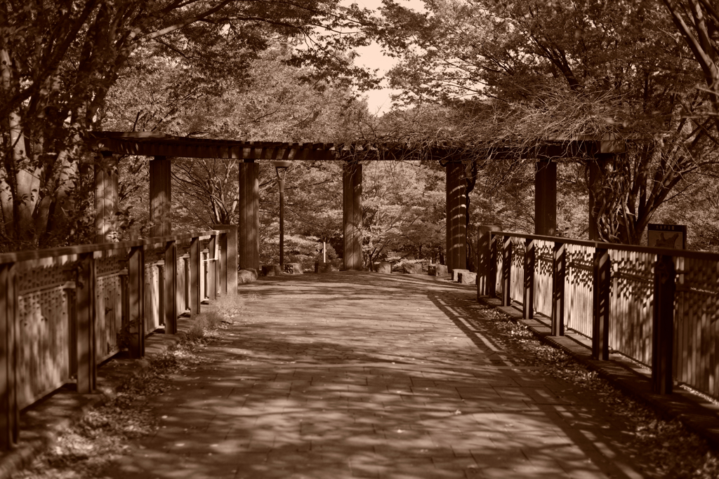 大谷戸公園０１