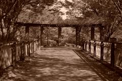 大谷戸公園０１