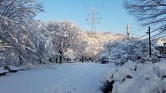 20180123_073154